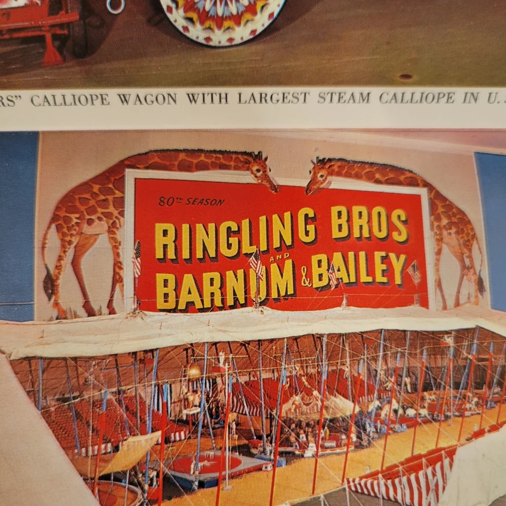 Vintage Postcard Booklets from Florida ~ Circus ~ Seashells ~ Retro!